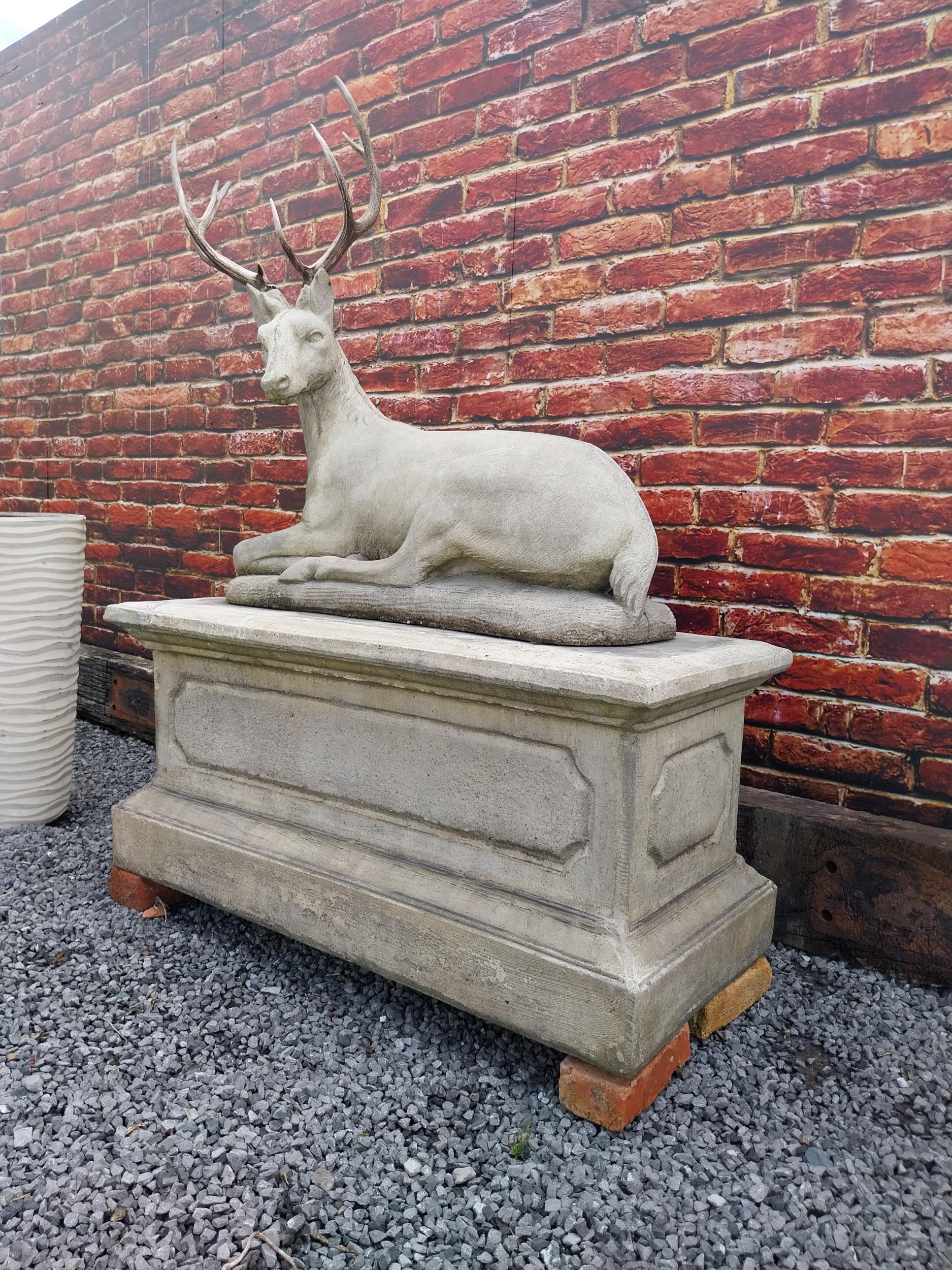 Good quality moulded stone statue of a Stag with real antlers raised on pedestal base {160 cm H x - Image 6 of 9