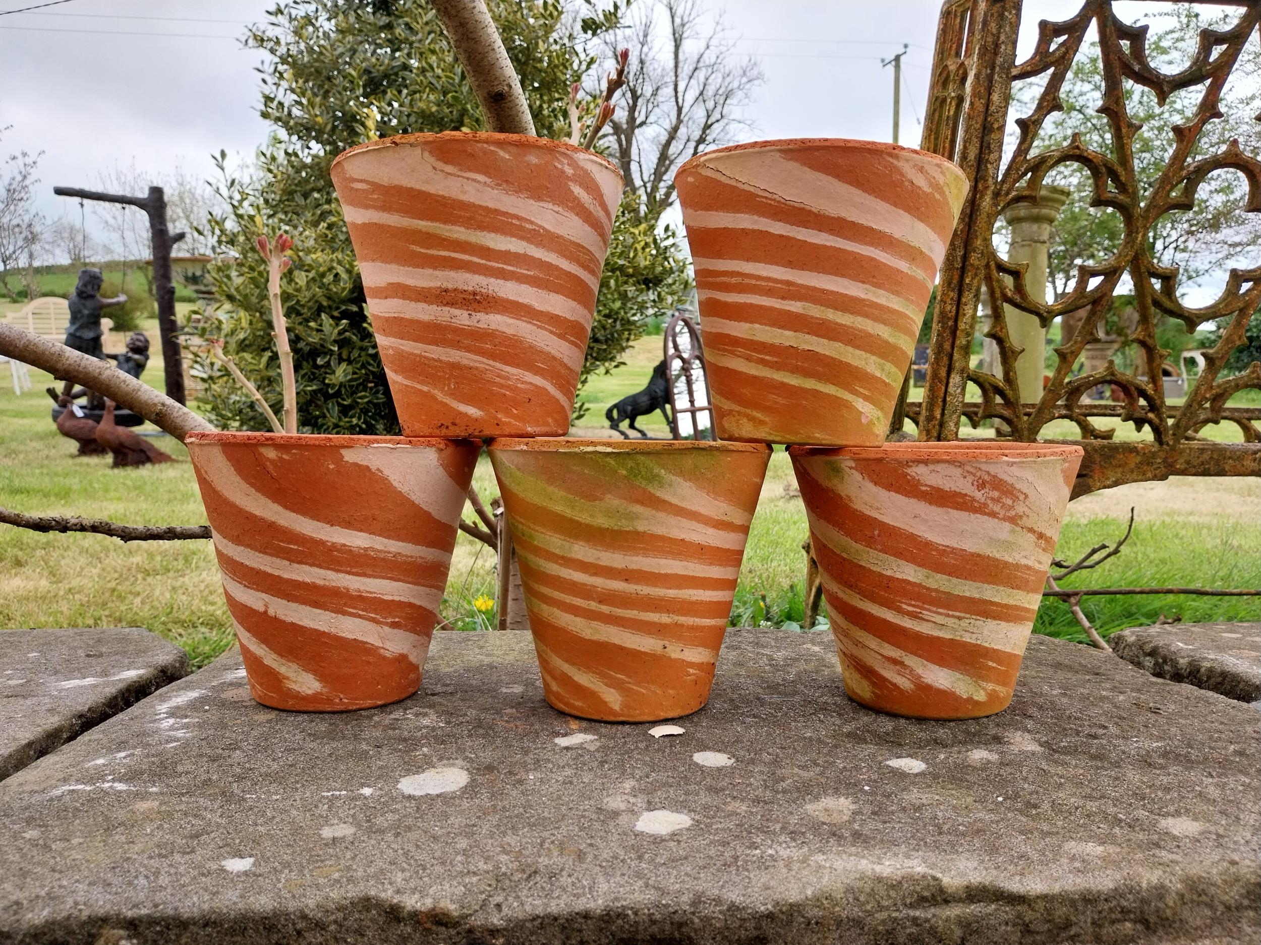 Collection of five terracotta plant pots with spiral design {15 cm H x 16 cm Dia.}. - Image 3 of 3