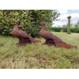 Pair of cast iron statuette of Peacocks {34 cm H x 21 cm W x 42 cm D}.