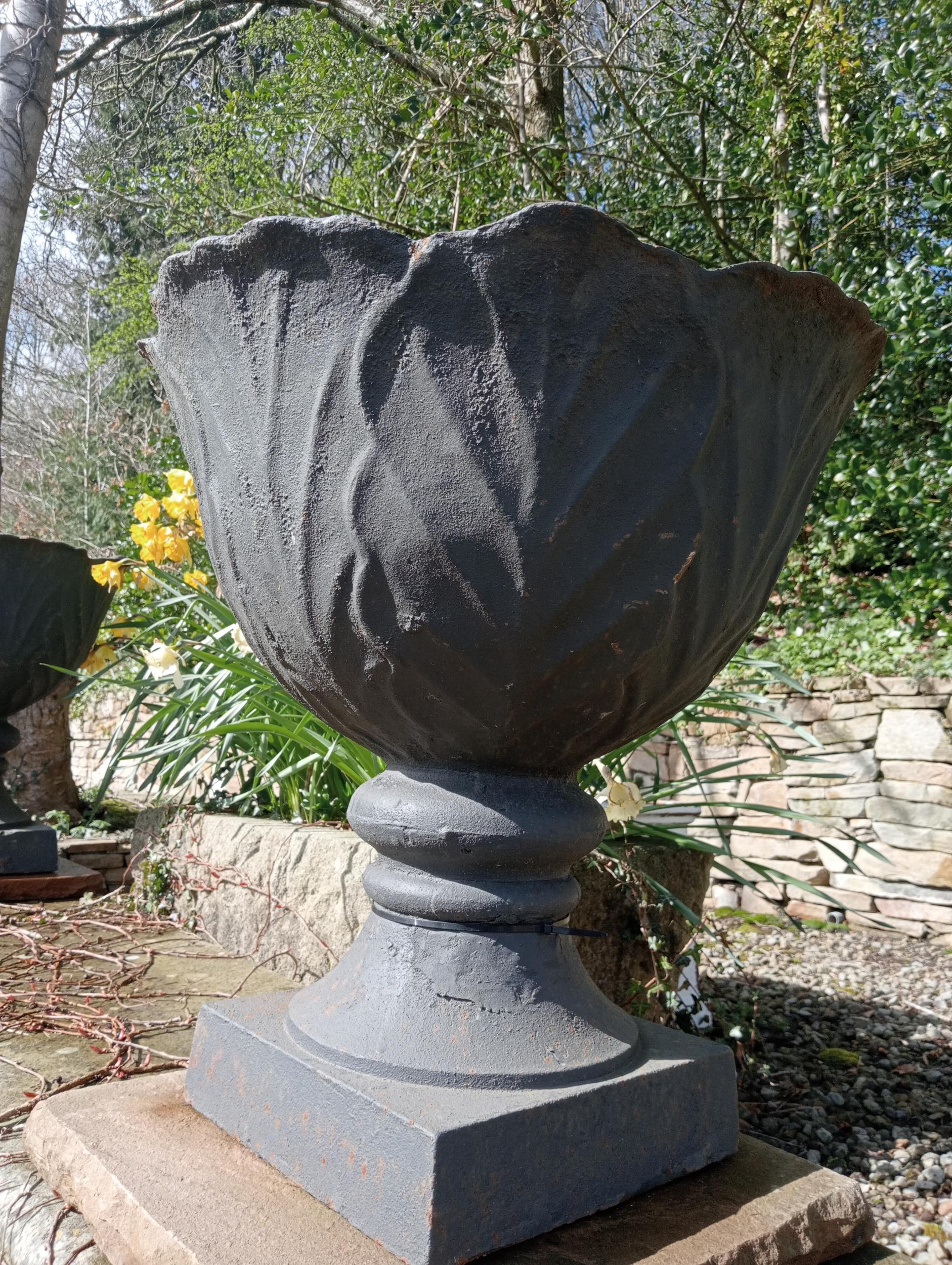 Pair of cast iron urns raised on sandstone pedestal {H 67cm x Dia 60cm }. (NOT AVAILABLE TO VIEW - Image 2 of 6