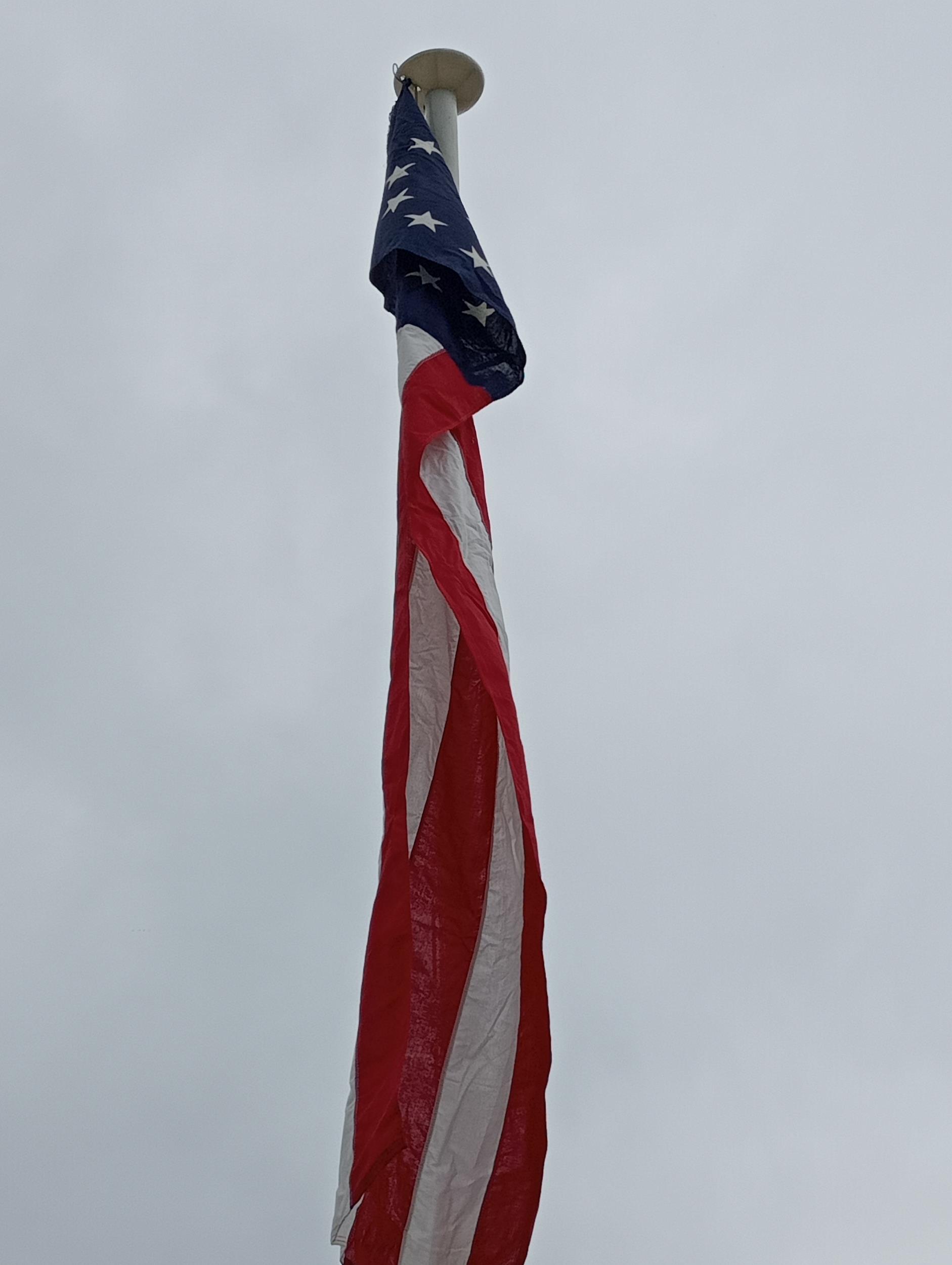 Flagpole with confederate flag {6 metres}. (NOT AVAILABLE TO VIEW IN PERSON) - Image 3 of 4