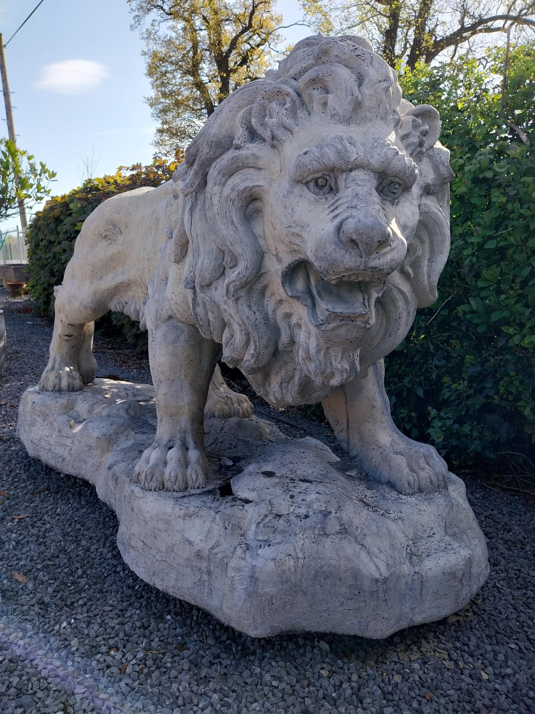 Pair of exceptional quality moulded sandstone majestic Lions {132 cm H x 210 cm W x 80 cm D}. - Image 4 of 16