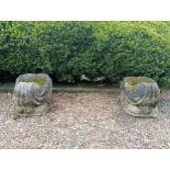 Pair of composition stone shell planters {H 38cm x 40 x 40cm }. (NOT AVAILABLE TO VIEW IN PERSON)