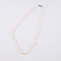 Single Graduated Strand Of Cultured Pearls, (2.9mm to 7.1mm) completed with a 9k white gold clasp se