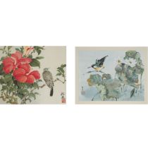 Lingnan School, Two Birds and Flowers Paintings, 岭南派 花鸟 设色纸本 镜框 一组两件, largest sheet 15.9 x 19.9 in —