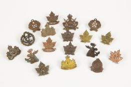 14 CEF Mounted Rifles collar badges: 1st (3), 2nd (pair), 4th (pair, "CMRR"), 5th (pair and single),