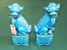 An impressive pair of smaller size Chinese dogs of foo. Male and female. 