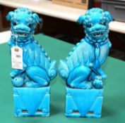 An impressive pair of large blue glazed Chinese dogs of Foo. male and female, 