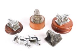 5 Bulldog related car Mascot bonnet ornaments. Including a MACK Bulldog, chromed, and 4 other