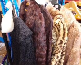 4 fur coats and 1 astrakhan coat.