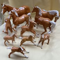 Beswick Palomino Horse figures - 10 in total - 1 large (appx 21cm), 2 appx 17cm, smallest appx 7cm