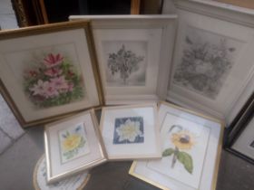 Six original works by Beverley Hilton (20th/21st century), still life studies of flowers, various