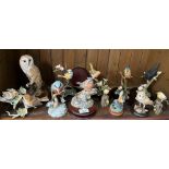 12 birds including Royal Doulton, Border Fine Arts, Country Artists etc.