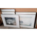 Nine assorted limited edition prints including three after France Hilon, brushed aluminium frames.