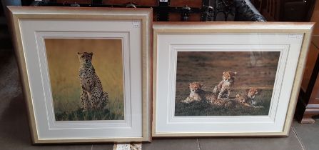 Two framed prints after Steven Townsend (b.1955); one signed artist's proof print, cheetah and cubs,