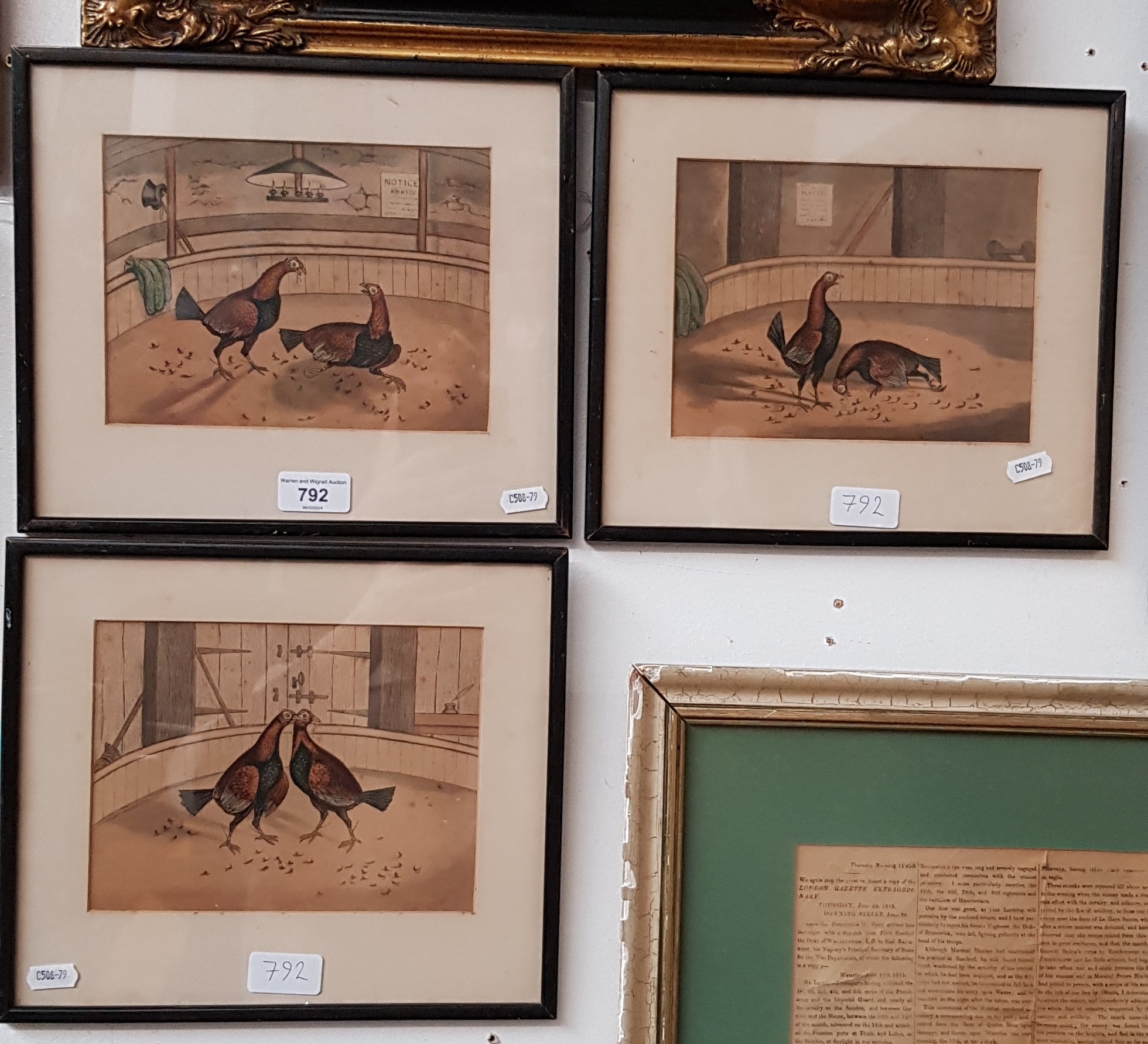 Three early 20th century hand coloured prints depicting fighting birds, each framed and glazed.