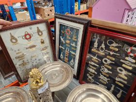 3 cased displays of various nautical knots.