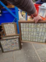 Four framed displays of cigarette cards depicting cricketers.