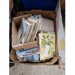 A box of assorted postcards