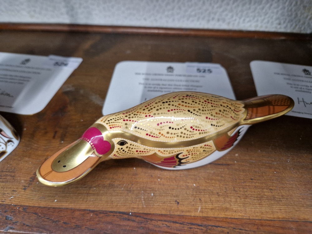 A Royal Crown Derby paperweight from the Australian Collection, signature limited edition model of a