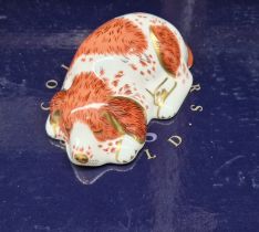 Royal Crown Derby Collectors Guild boxed paperweight - Puppy