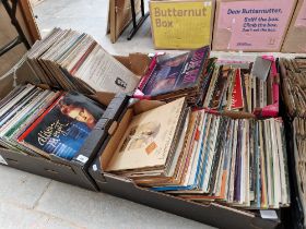 Four boxes of records.