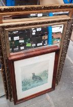 Two gilt framed mirrors and a framed print of a grouse.