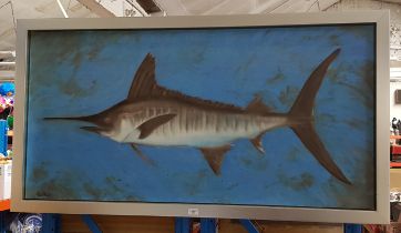 Joe Black (American, 20th/21st century), oil on canvas depicting a marlin, 131cm x 65cm, signed to