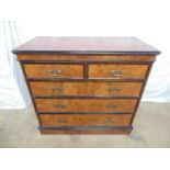 19th century burr walnut chest of two short over three long graduated drawers having ebonised