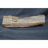 Natural History - section of fossilised tree branch or petrified wood - 25.5cm long Please note