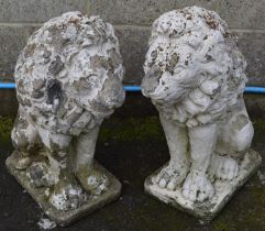 Pair of painted statues in the form of seated lions - 25cm wide x 38cm deep x 64cm tall Please