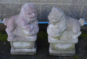 Pair of Dogs of Foe statues - 33cm x 52cm tall Please note descriptions are not condition reports,