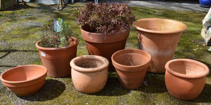 Group of seven terracotta plant pots - largest 41cm x 37cm tall Please note descriptions are not