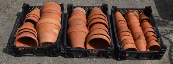 Three trays of terracotta plant pots Please note descriptions are not condition reports, please