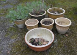 Seven various sized glazed plant pots Please note descriptions are not condition reports, please