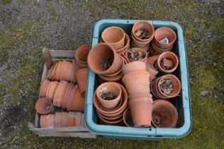 Two boxes containing a quantity of terracotta plant pots Please note descriptions are not