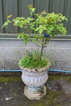 Circular garden urn by W Meads & Sons, on octagonal base - 46cm x 57cm tall Please note descriptions