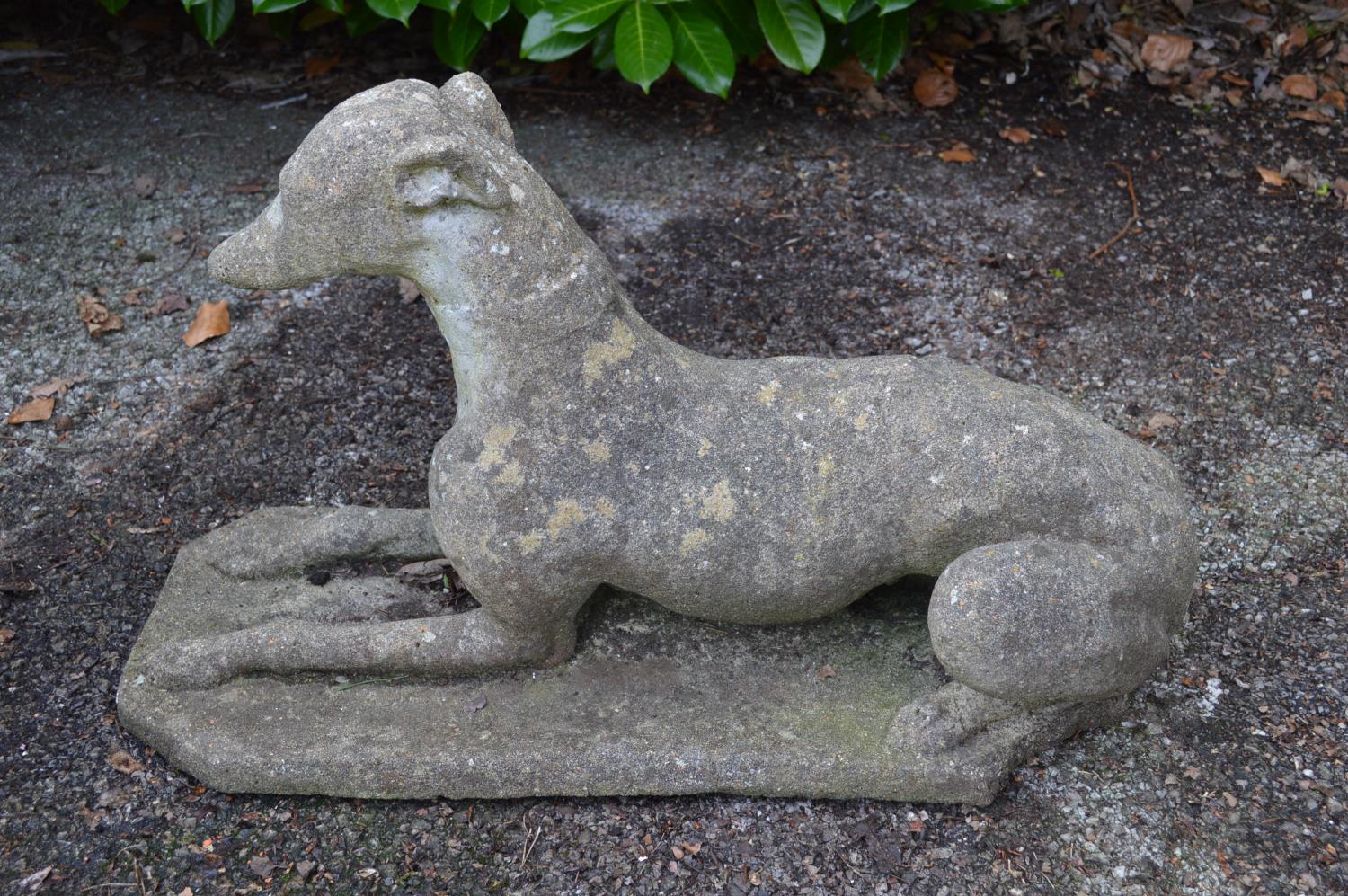 20th century statue of a recumbent Greyhound - 64cm long Please note descriptions are not - Image 2 of 2