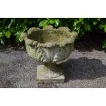 Single leaf formed garden urn - 49cm dia x 42cm tall Please note descriptions are not condition