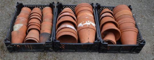 Three trays of terracotta plant pots Please note descriptions are not condition reports, please
