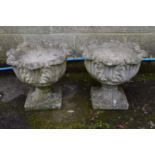 Pair of acanthus/cabbage leaf formed urns standing on square bases - 48.5cm x 41cm tall Please