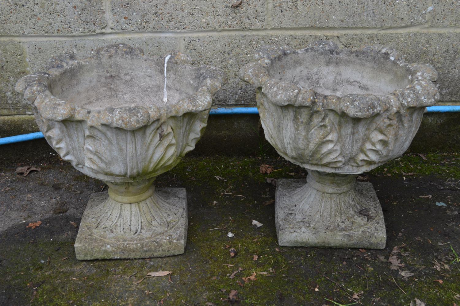 Pair of acanthus/cabbage leaf formed urns standing on square bases - 48.5cm x 41cm tall Please