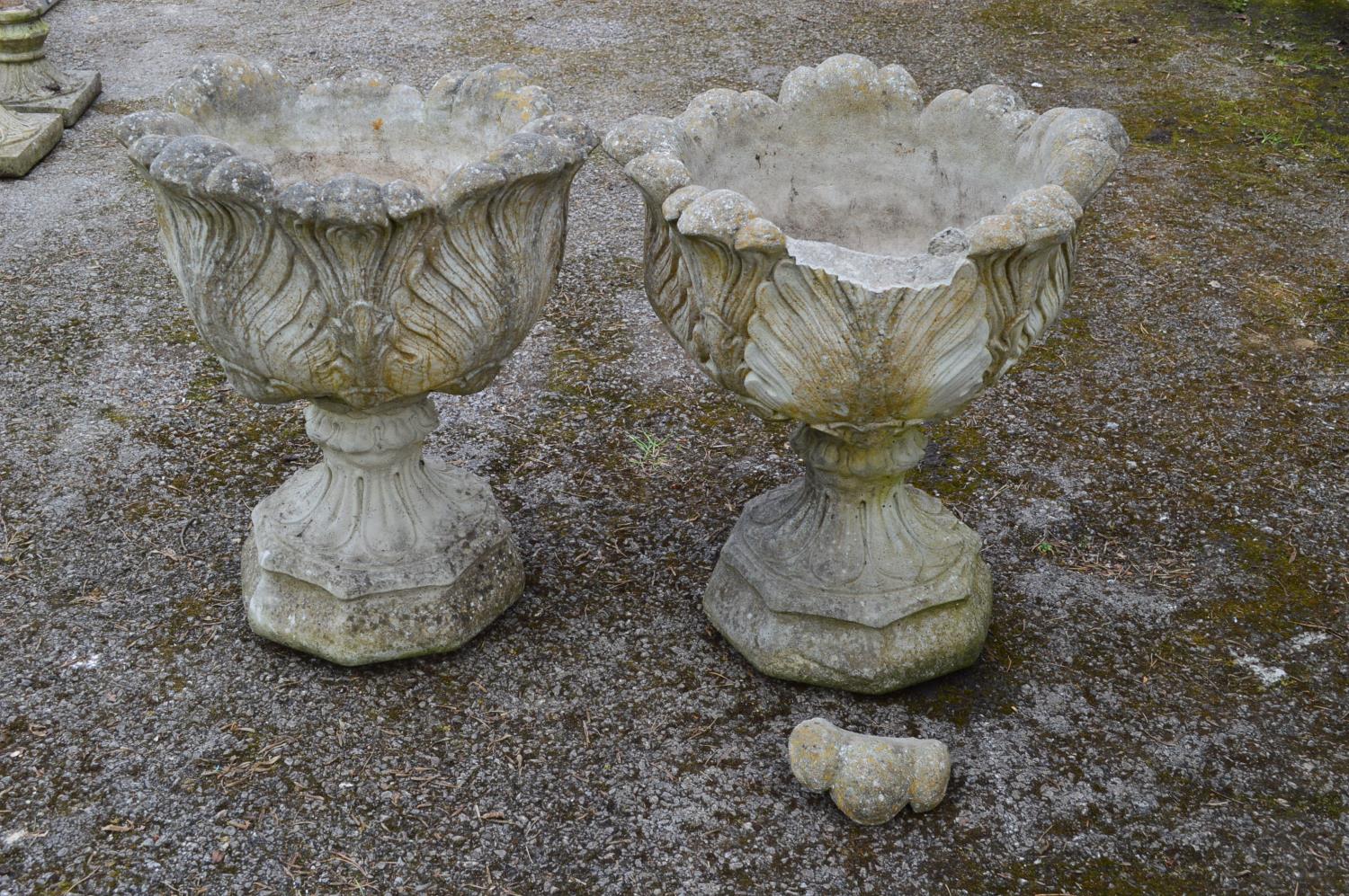 Pair of acanthus/cabbage leaf formed urns standing on octagonal formed bases - 48cm x 60cm tall (one