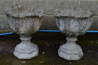 Pair of acanthus/cabbage leaf formed urns standing on octagonal formed bases - 48cm x 60cm tall