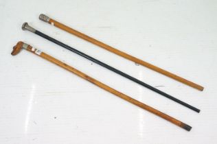 Three late 19th / early 20th century walking stick to include an early 20th century ebonised stick