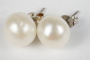 Pair of Pearl Stud Earrings on Silver Posts