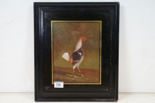 Ebonised Framed Oil Painting Study of a Fighting Cockerel, 25cm x 19cm