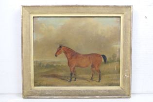 19th century, study of a chestnut horse, oil on canvas, signed 'C. H Saper'? lower left and