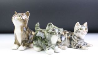 Three Winstanley Pottery cat figures with glass eyes, to include a recumbent tabby cat (size 2), a