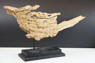 Driftwood sculptural ornament, raised on a stepped rectangular base. Measures approx 64cm wide